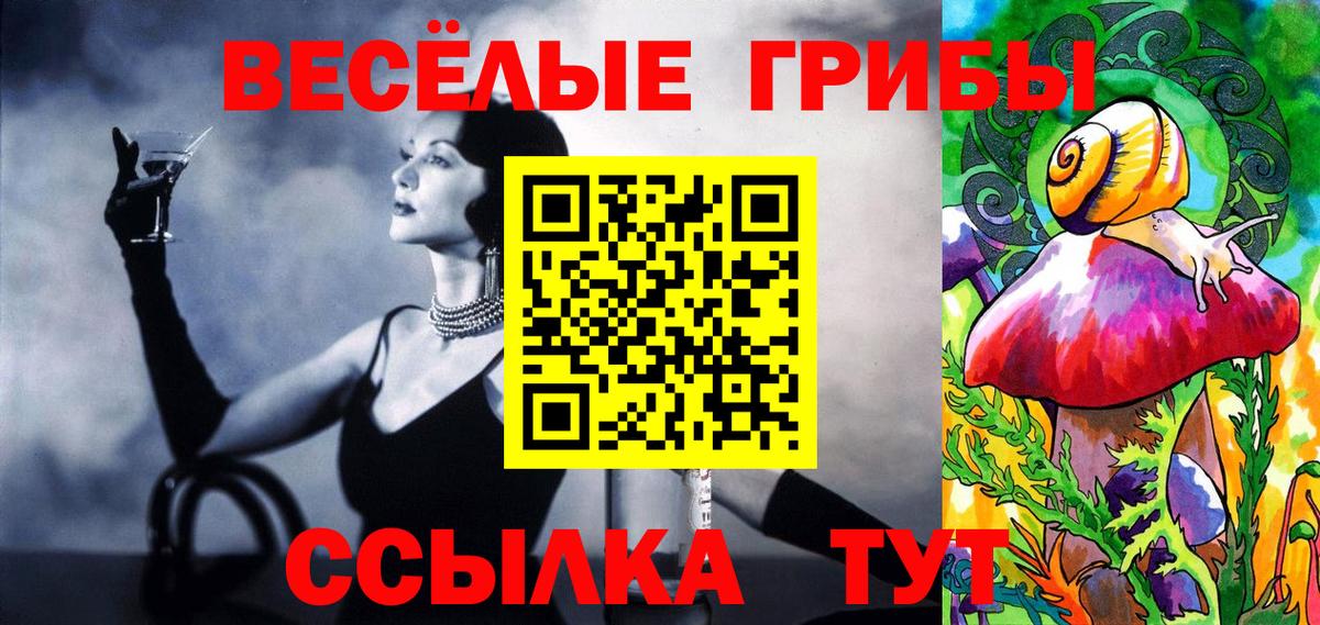 Камышин  Псилоцибиновые грибы Cubensis  Вход с VPN 